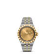TUDOR Royal Watch - M28303-0004 at Martin Binder Jeweler