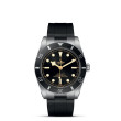 TUDOR Black Bay 54 Watch - M79000N-0002 at Martin Binder Jeweler