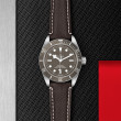 TUDOR Black Bay 58 925 Watch - M79010SG-0001 at Martin Binder Jeweler