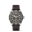TUDOR Black Bay 58 Watch - M79010SG-0001 at Martin Binder Jeweler
