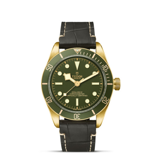 TUDOR Black Bay 58 Watch - M79018V-0001 at Martin Binder Jeweler