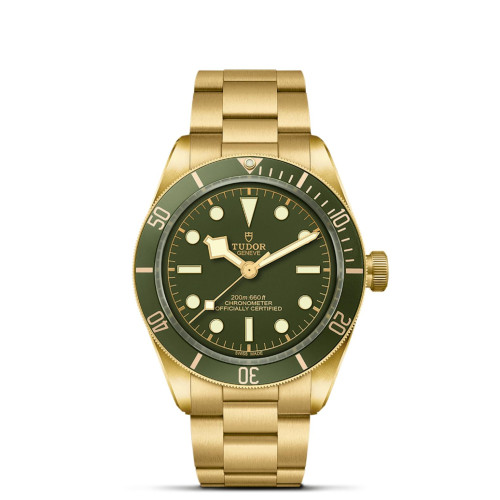 TUDOR Black Bay 58 Watch - M79018V-0006 at Martin Binder Jeweler