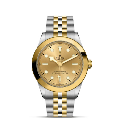 TUDOR Black Bay 31/36/39/41 S&G Watch - M79663-0005 at Martin Binder Jeweler
