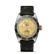 TUDOR Black Bay Watch - M79733N-0003 at Martin Binder Jeweler