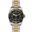 TUDOR Black Bay S&G Watch - M79733N-0008 at Martin Binder Jeweler