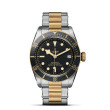 TUDOR Black Bay Watch - M79733N-0008 at Martin Binder Jeweler