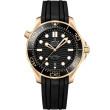 OMEGA Seamaster Chronometer 42 mm