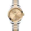 Seamaster Aqua Terra Shades