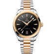 OMEGA Seamaster Chronometer 41 mm