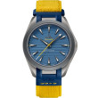 OMEGA Seamaster Chronometer 41 mm